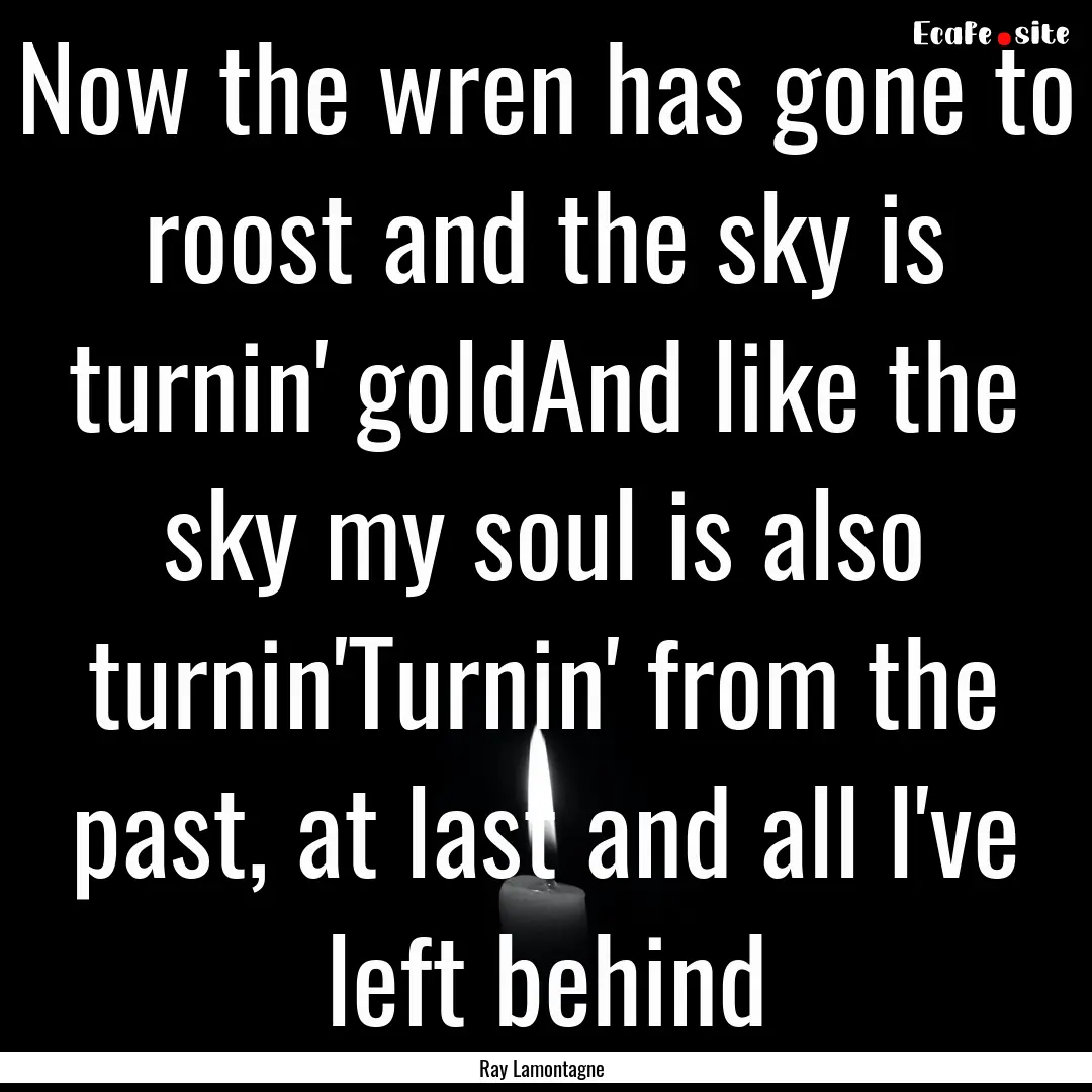 Now the wren has gone to roost and the sky.... : Quote by Ray Lamontagne