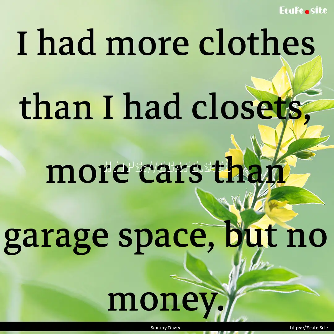 I had more clothes than I had closets, more.... : Quote by Sammy Davis