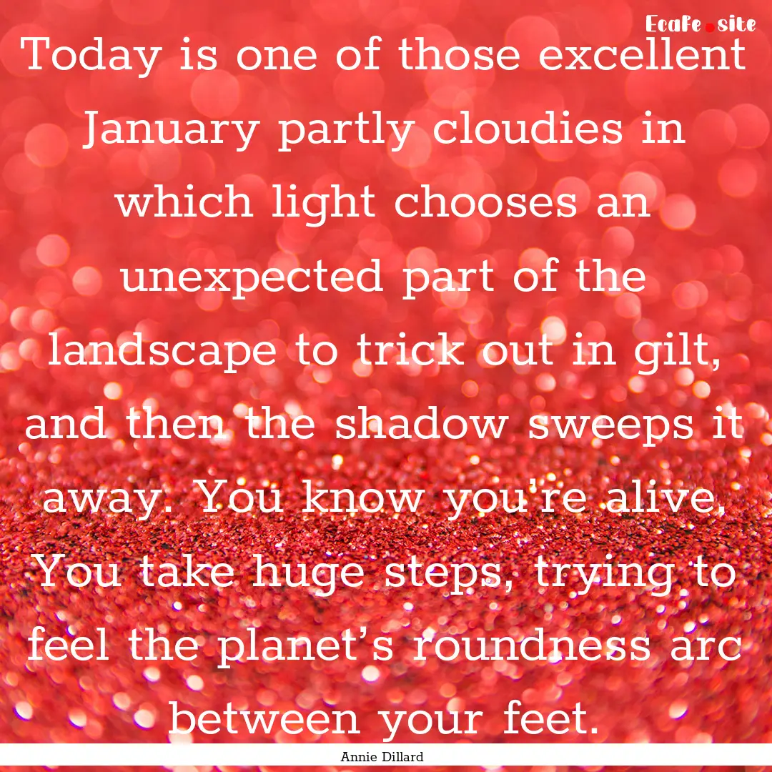 Today is one of those excellent January partly.... : Quote by Annie Dillard