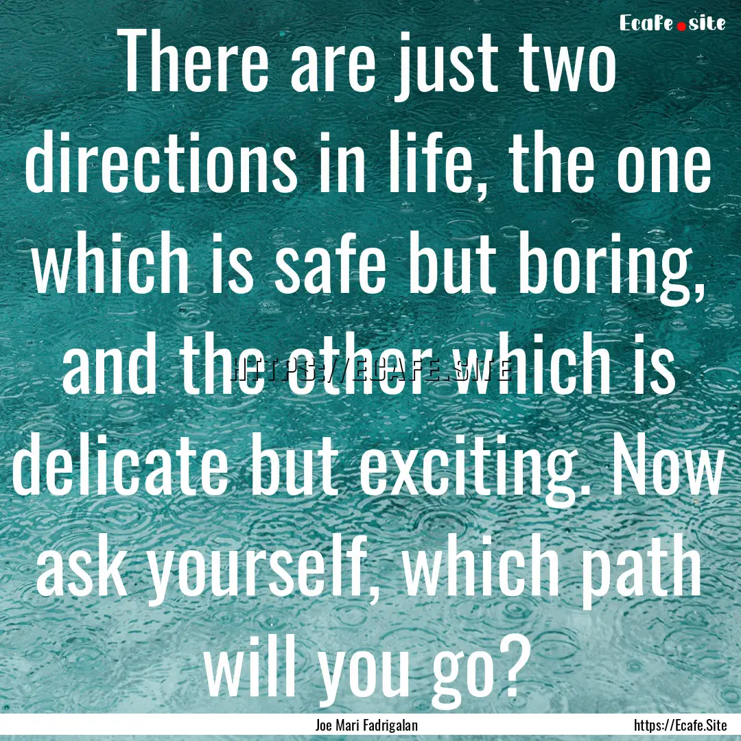 There are just two directions in life, the.... : Quote by Joe Mari Fadrigalan