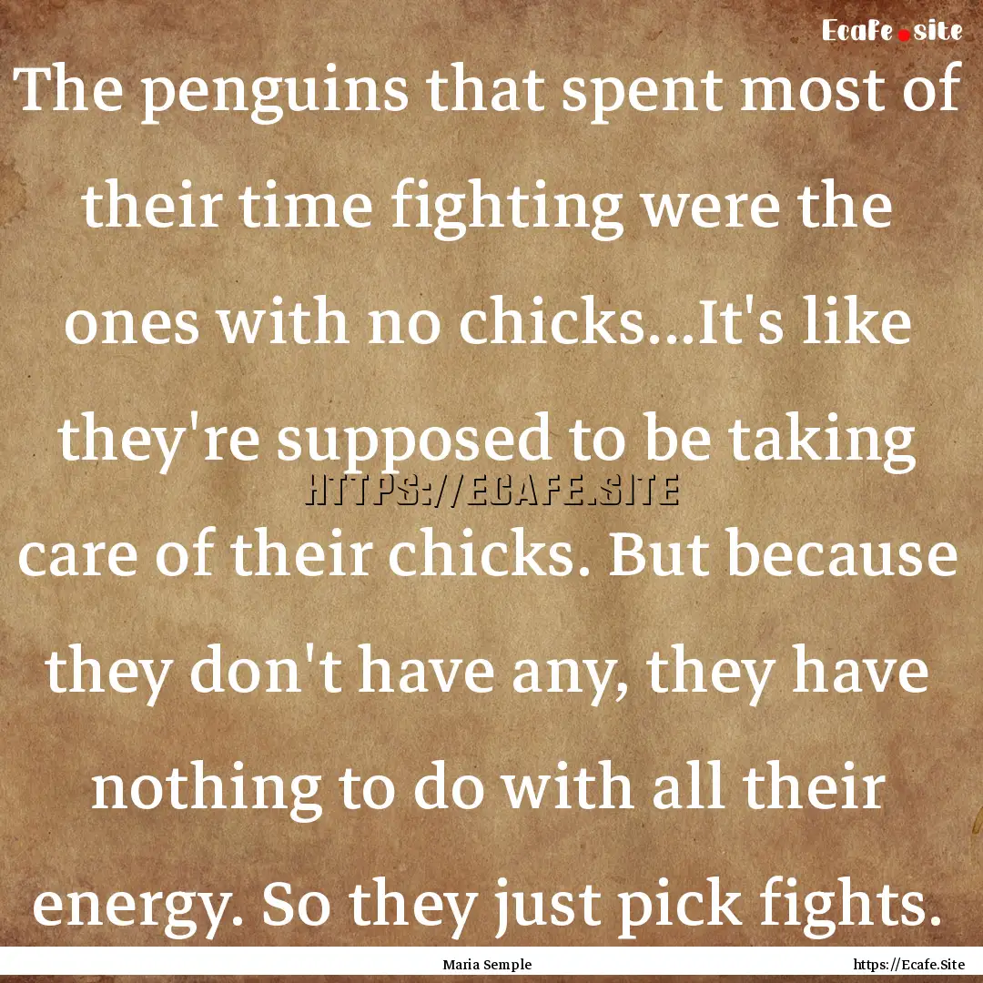 The penguins that spent most of their time.... : Quote by Maria Semple