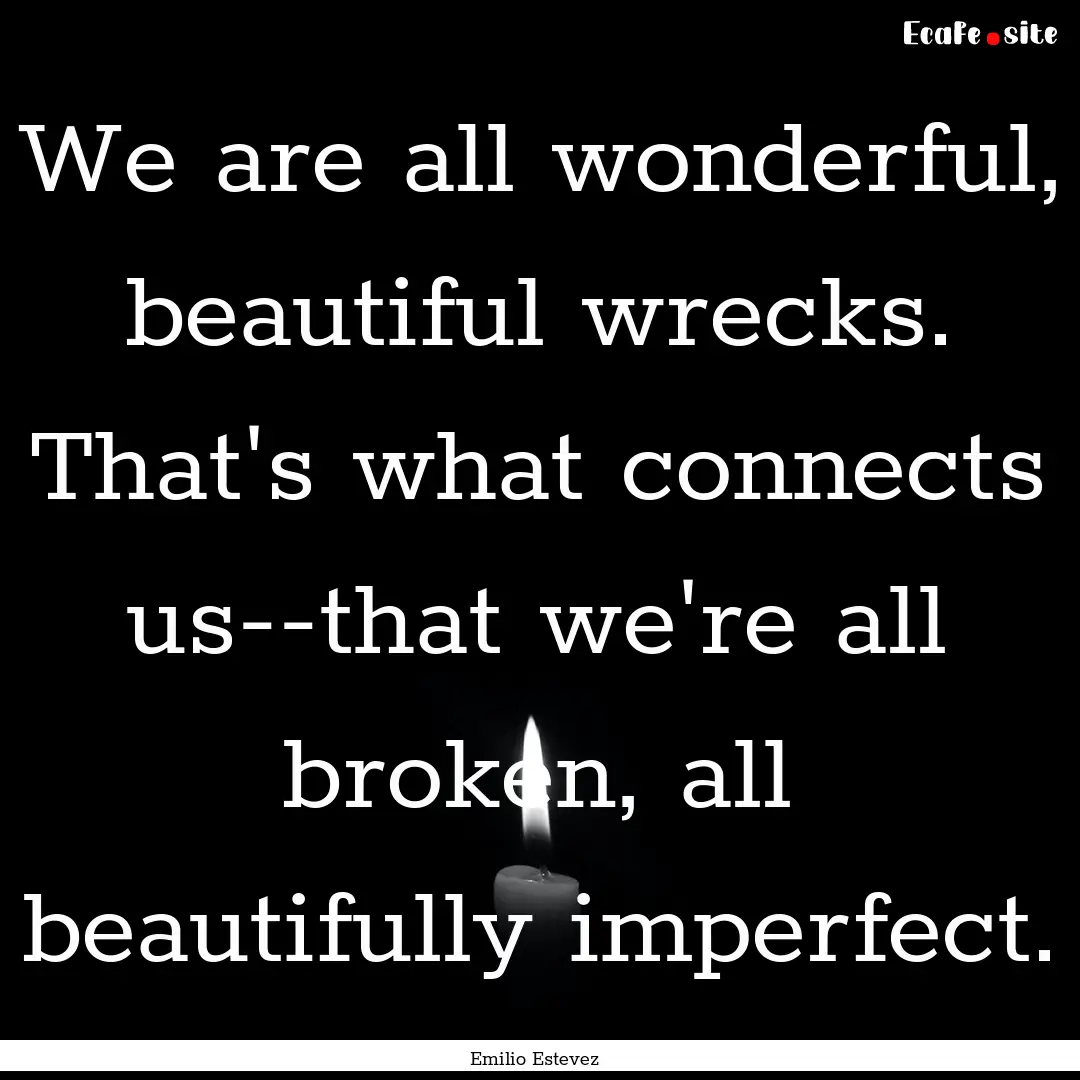 We are all wonderful, beautiful wrecks. That's.... : Quote by Emilio Estevez