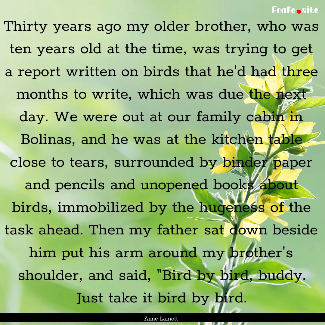 Thirty years ago my older brother, who was.... : Quote by Anne Lamott