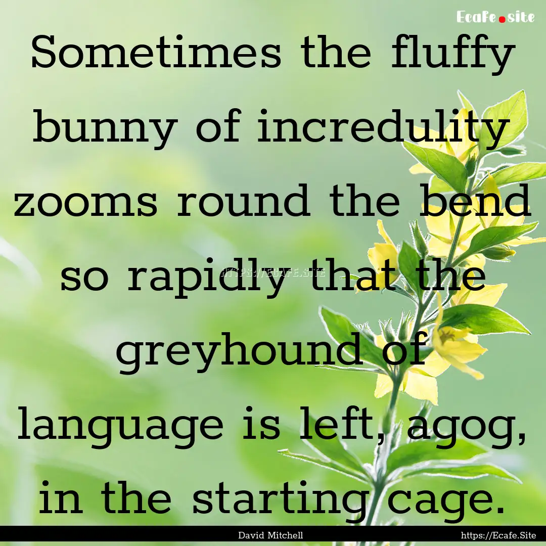 Sometimes the fluffy bunny of incredulity.... : Quote by David Mitchell