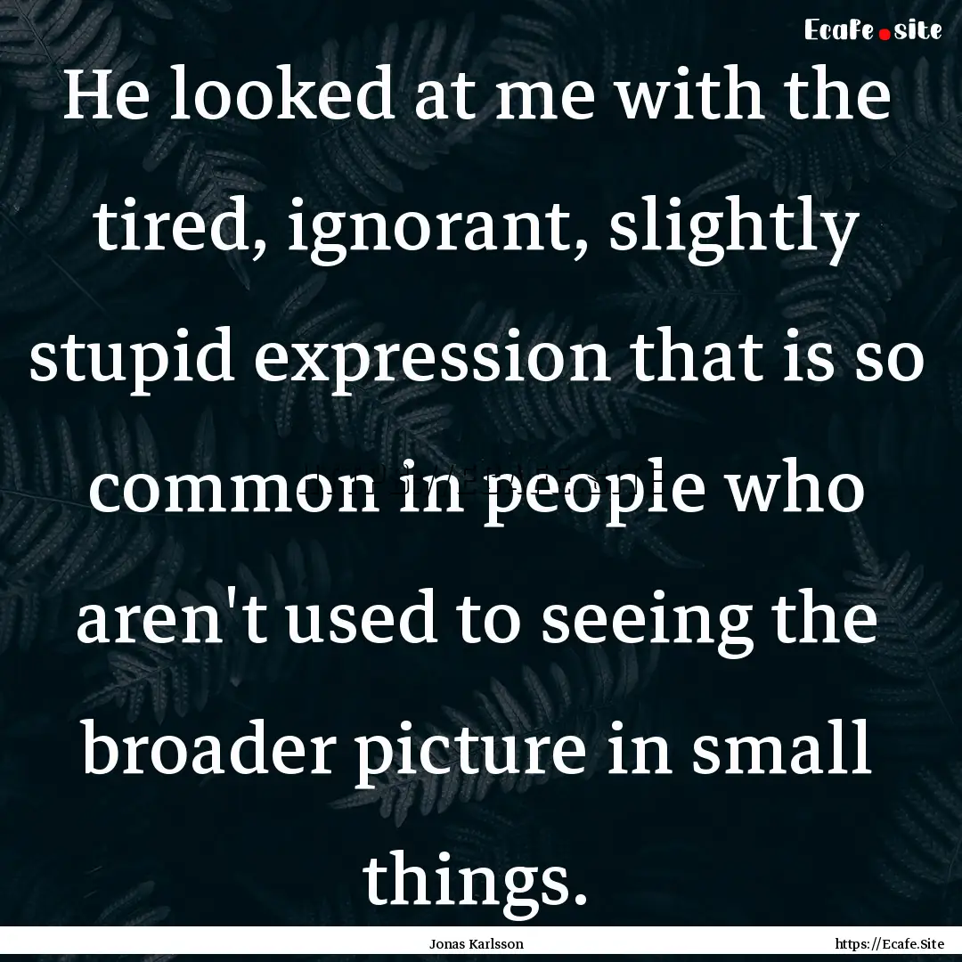 He looked at me with the tired, ignorant,.... : Quote by Jonas Karlsson