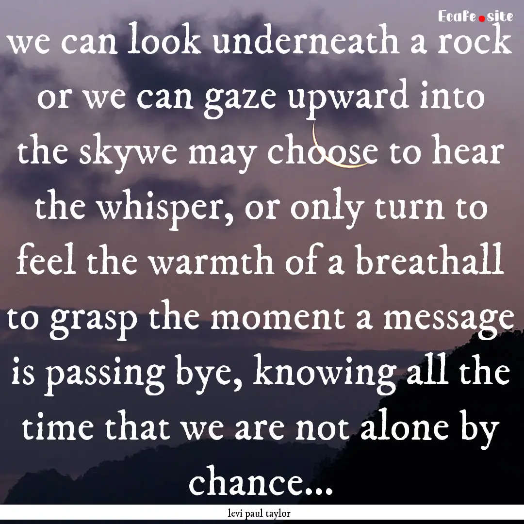 we can look underneath a rock or we can gaze.... : Quote by levi paul taylor