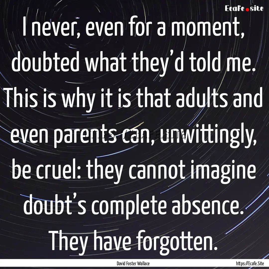 I never, even for a moment, doubted what.... : Quote by David Foster Wallace