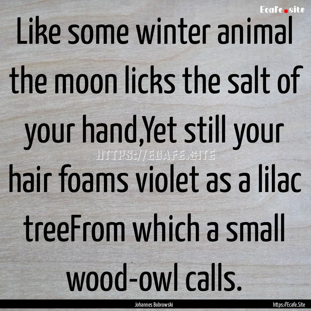 Like some winter animal the moon licks the.... : Quote by Johannes Bobrowski