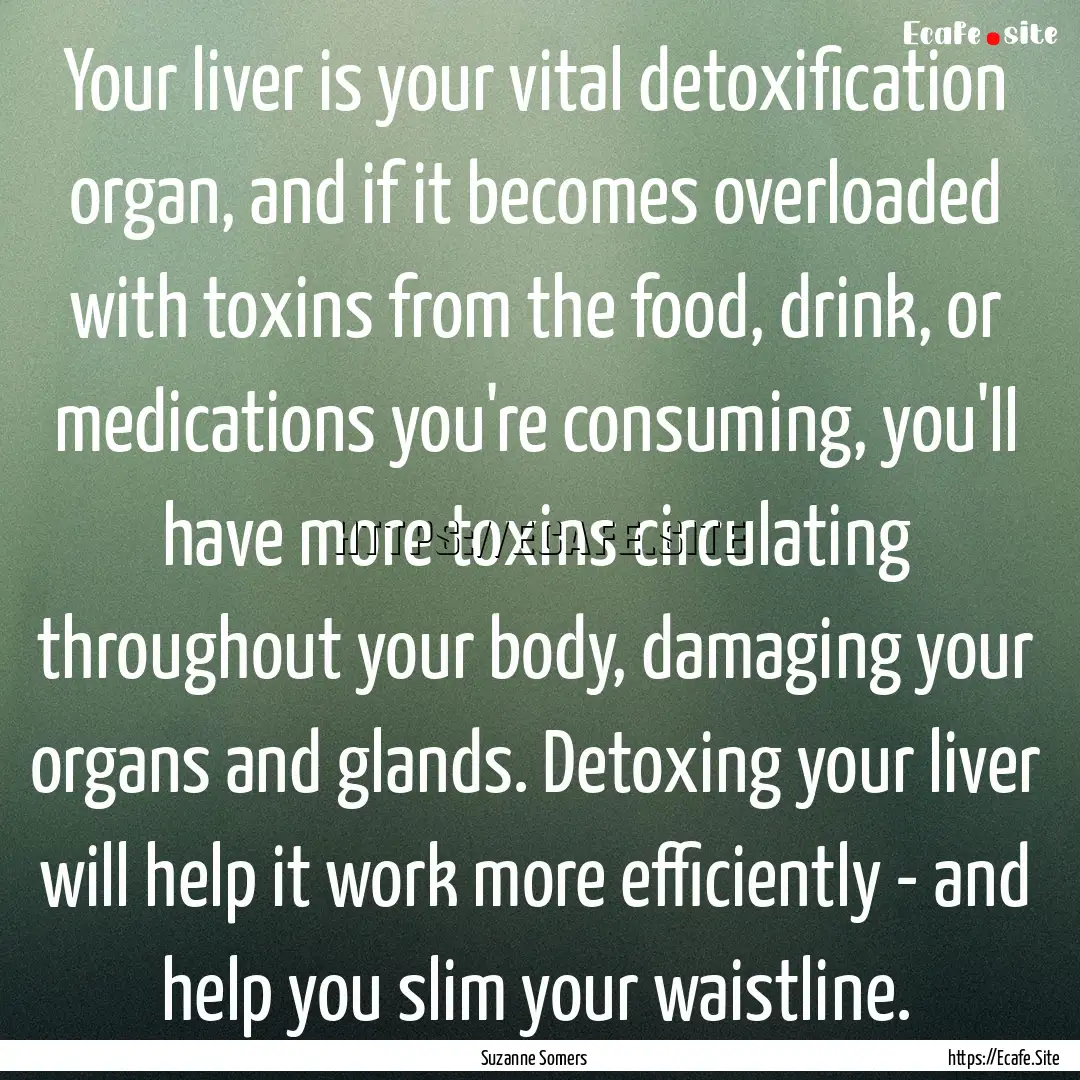 Your liver is your vital detoxification organ,.... : Quote by Suzanne Somers