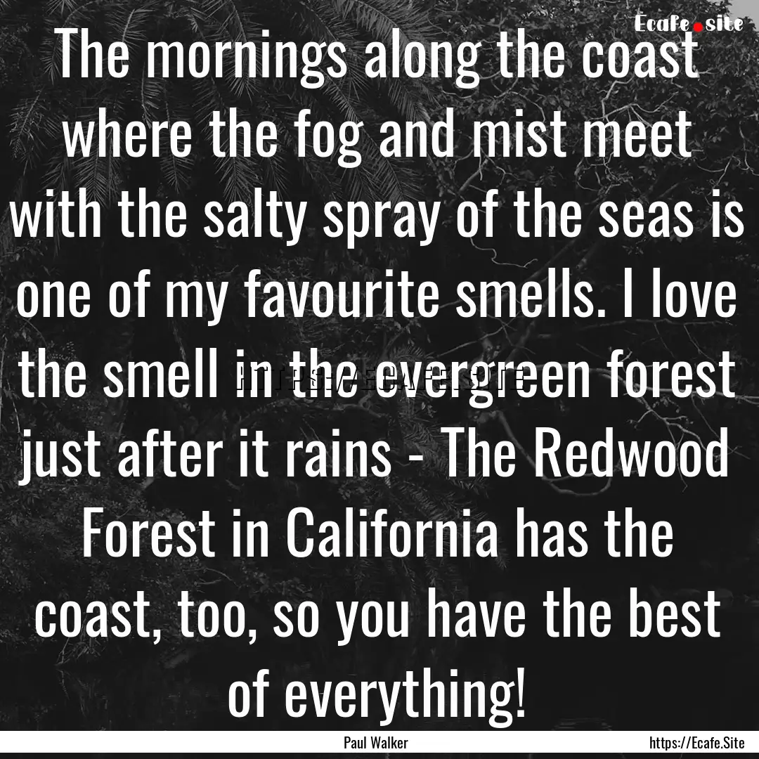 The mornings along the coast where the fog.... : Quote by Paul Walker