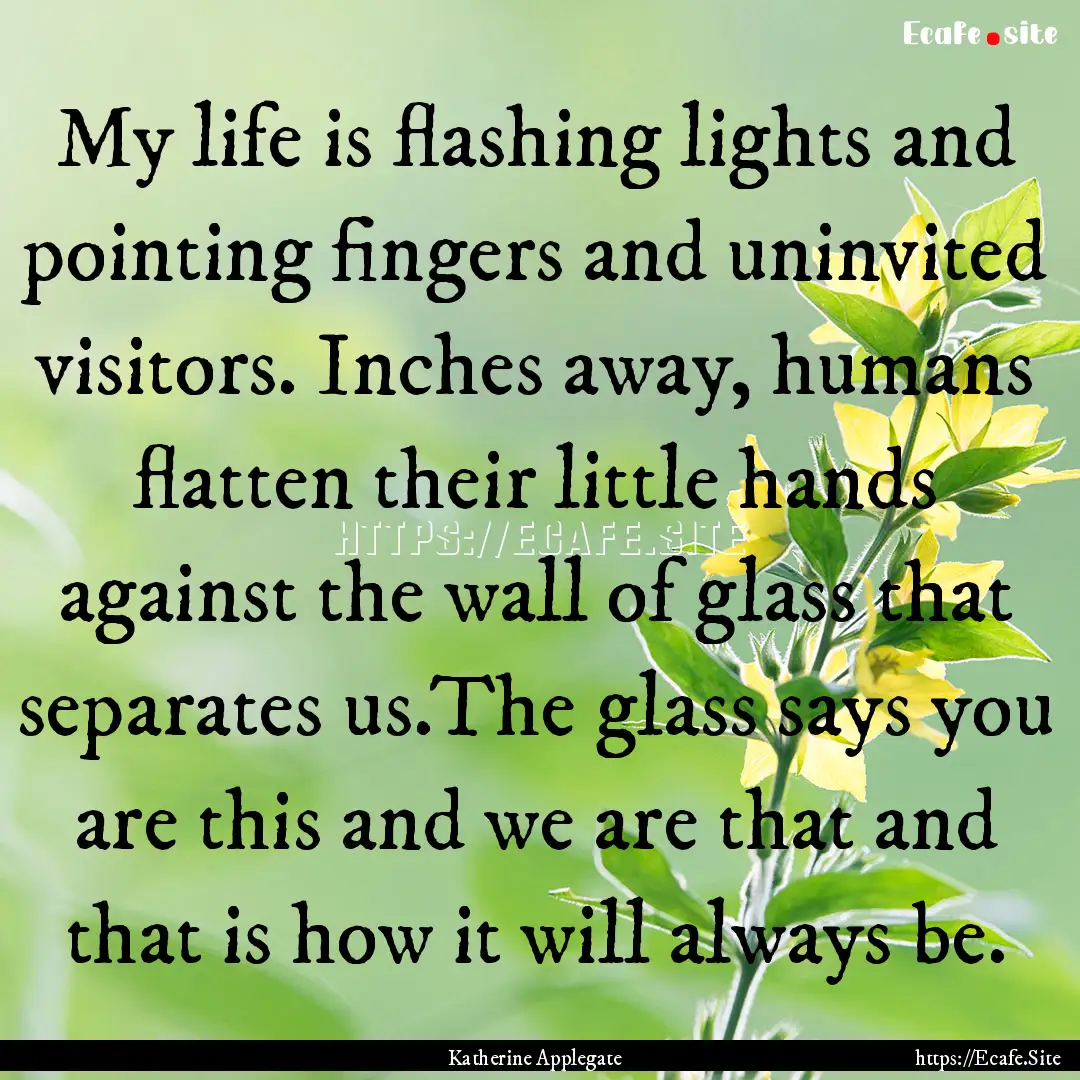 My life is flashing lights and pointing fingers.... : Quote by Katherine Applegate