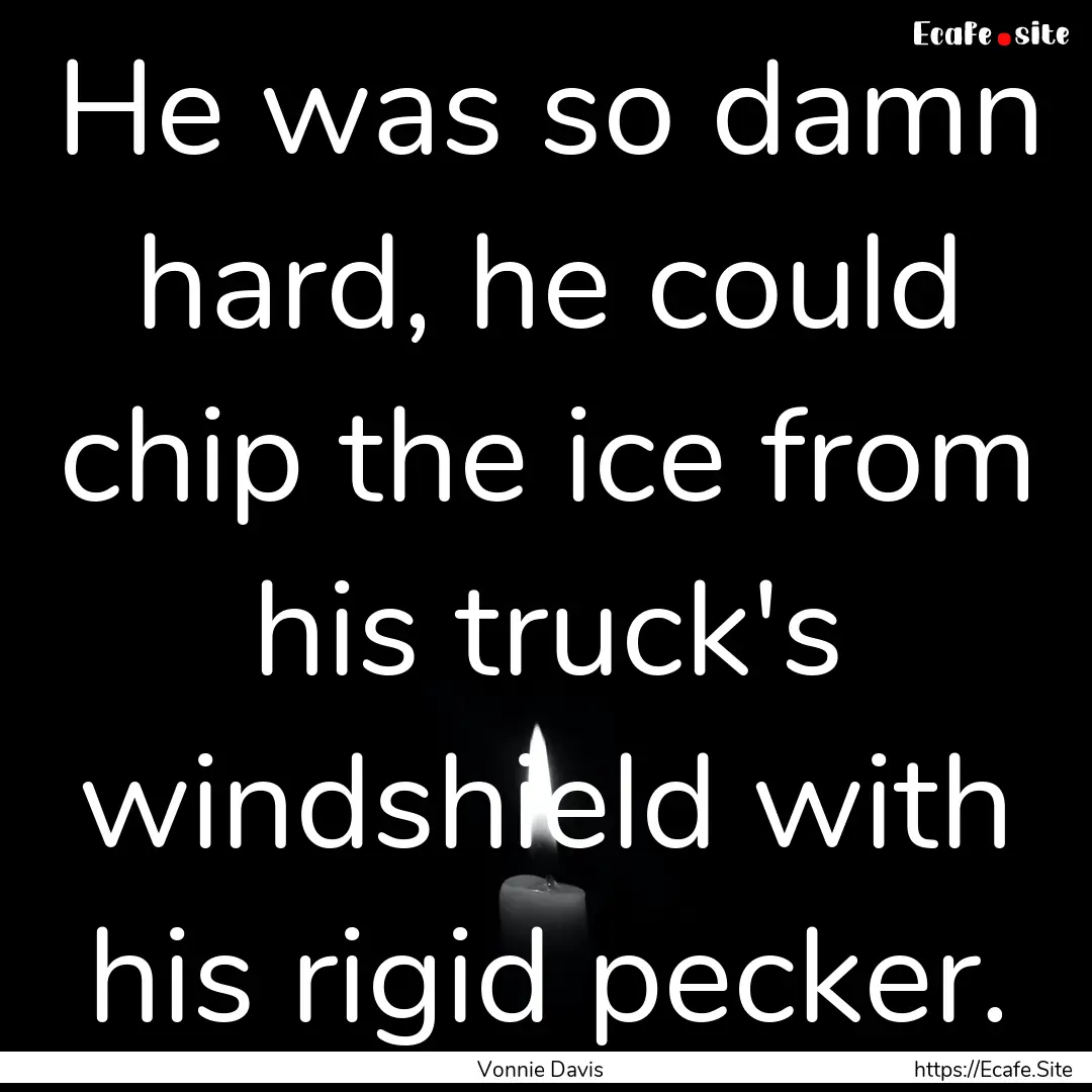 He was so damn hard, he could chip the ice.... : Quote by Vonnie Davis