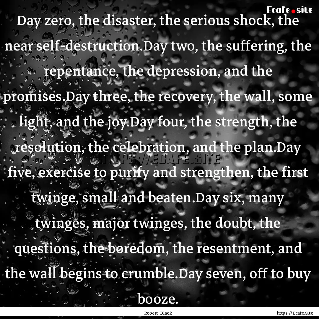 Day zero, the disaster, the serious shock,.... : Quote by Robert Black