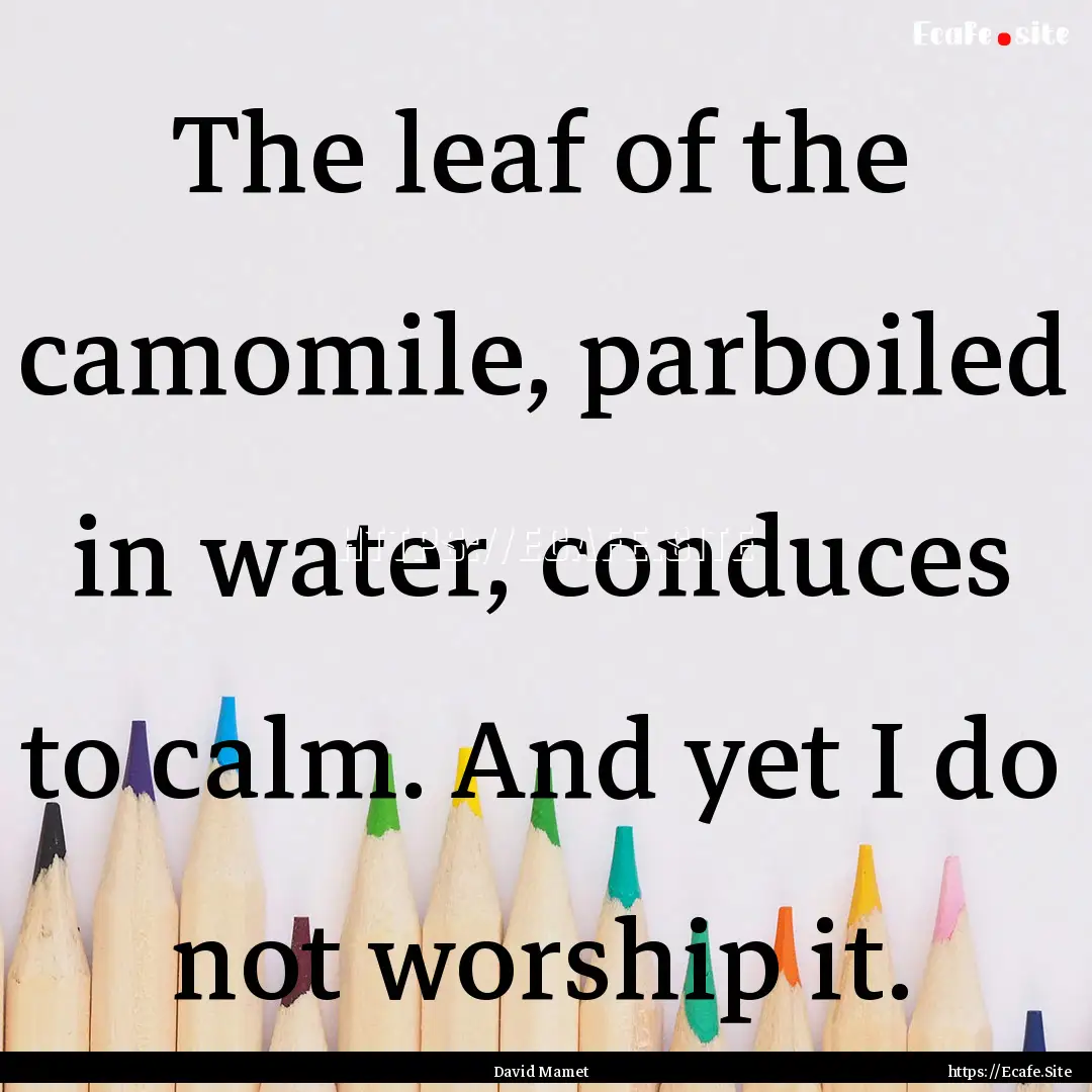 The leaf of the camomile, parboiled in water,.... : Quote by David Mamet