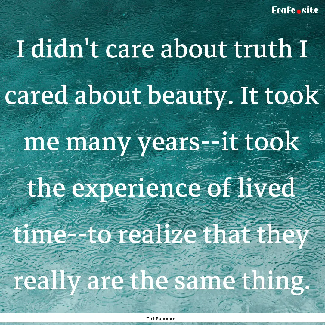 I didn't care about truth I cared about beauty..... : Quote by Elif Batuman