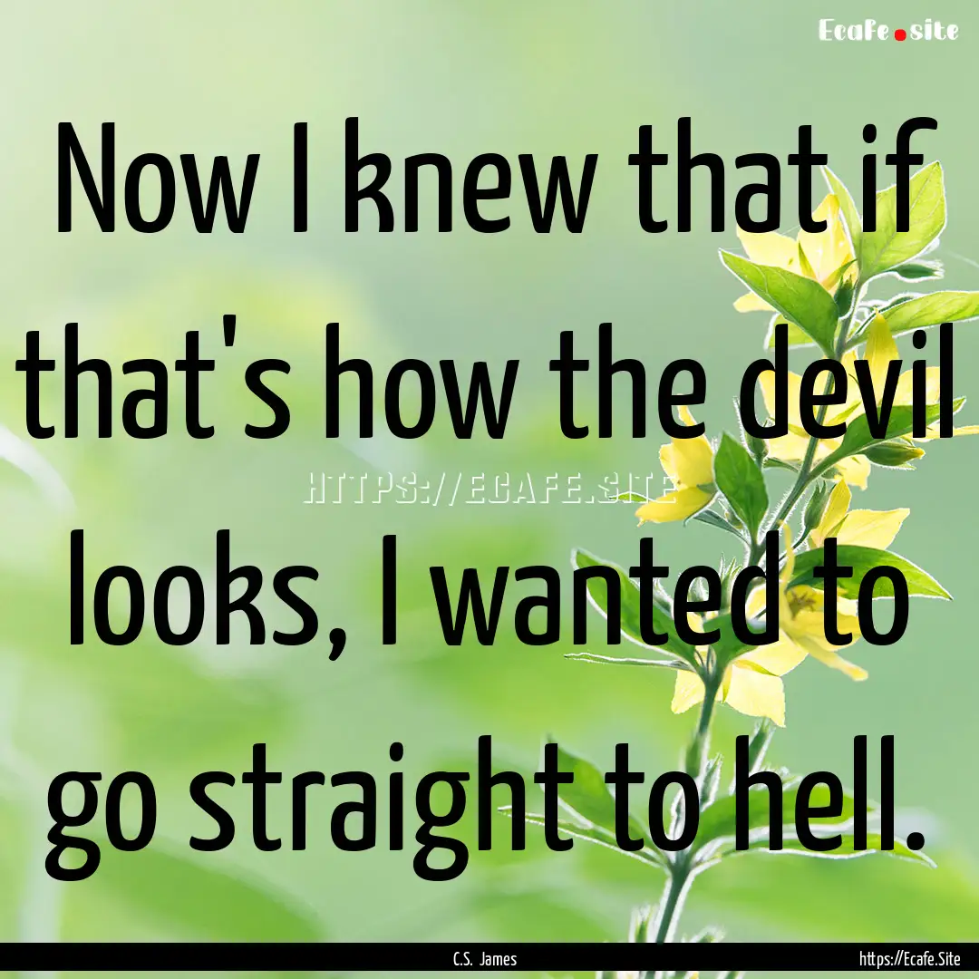 Now I knew that if that's how the devil looks,.... : Quote by C.S. James