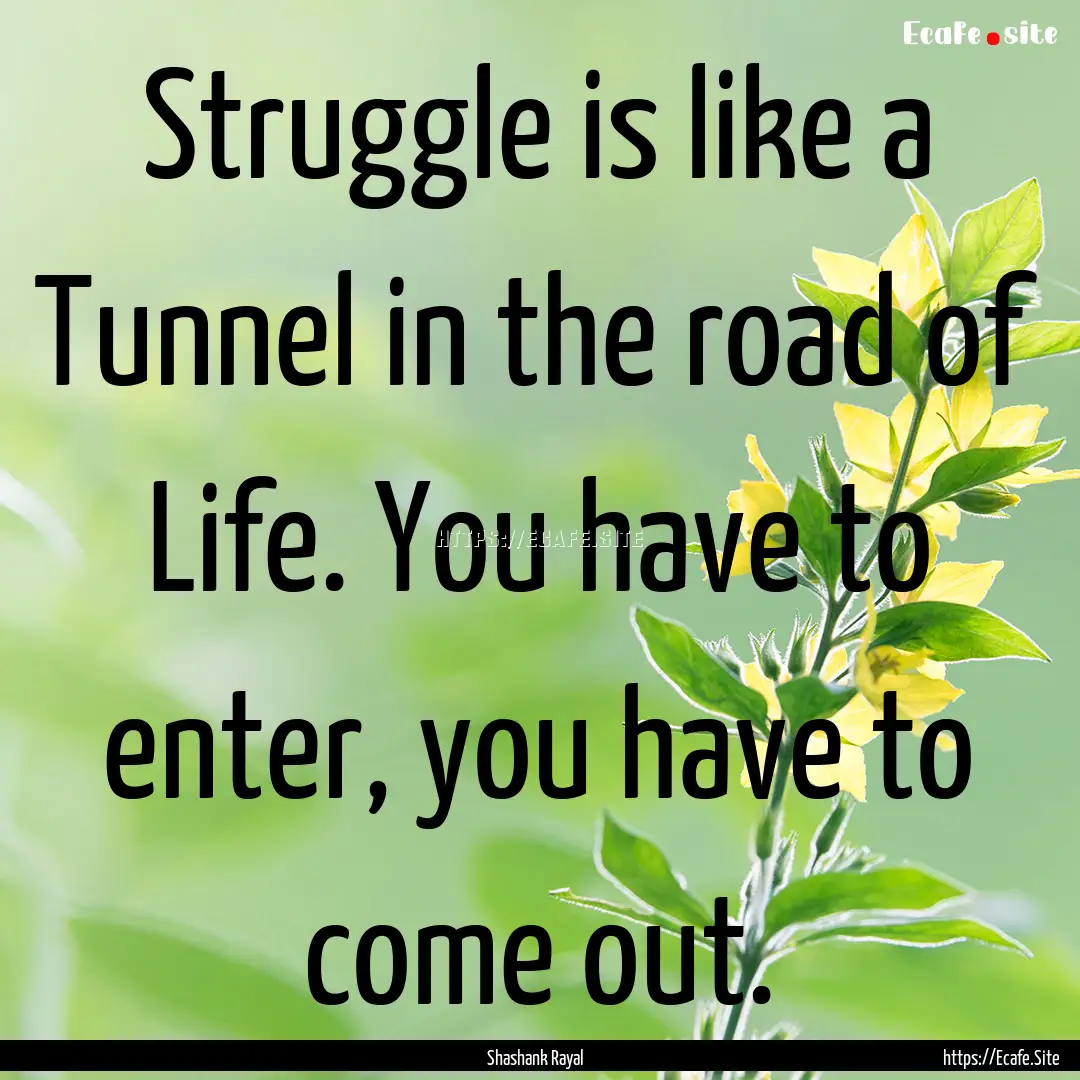 Struggle is like a Tunnel in the road of.... : Quote by Shashank Rayal