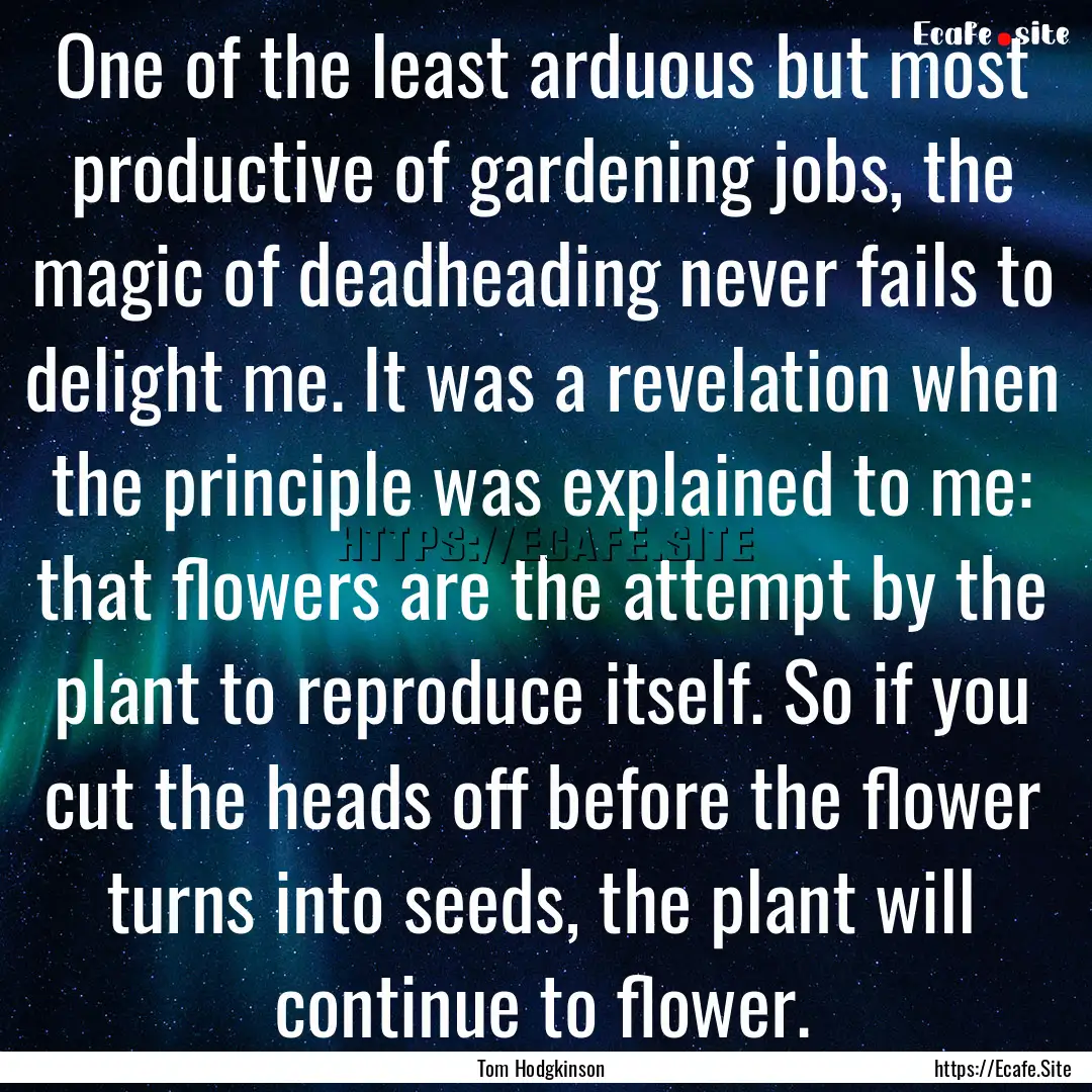 One of the least arduous but most productive.... : Quote by Tom Hodgkinson