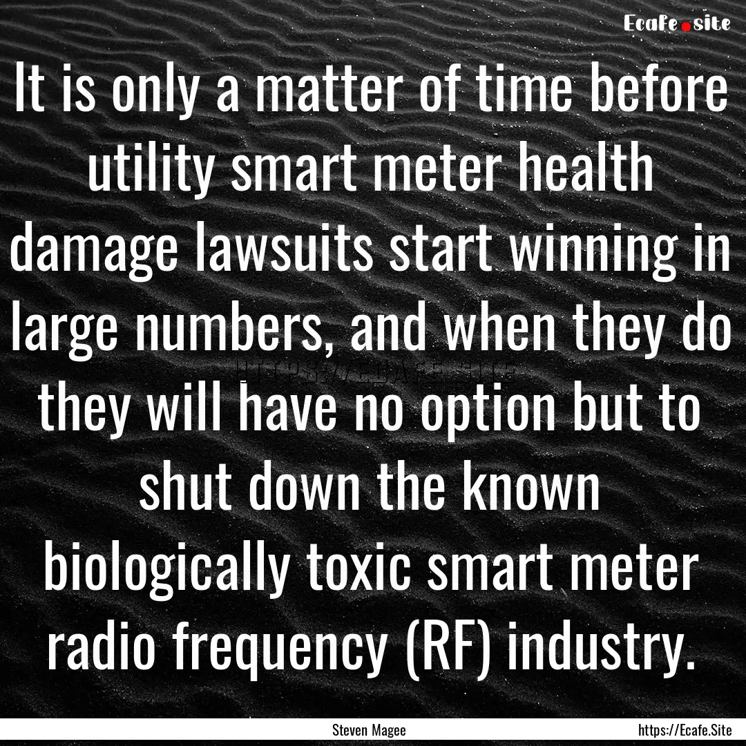 It is only a matter of time before utility.... : Quote by Steven Magee