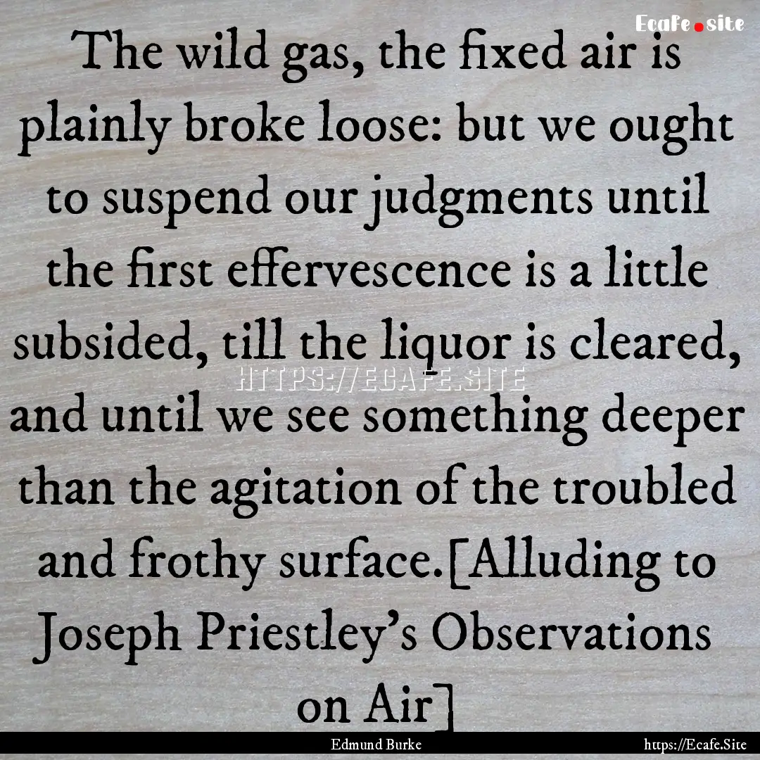 The wild gas, the fixed air is plainly broke.... : Quote by Edmund Burke