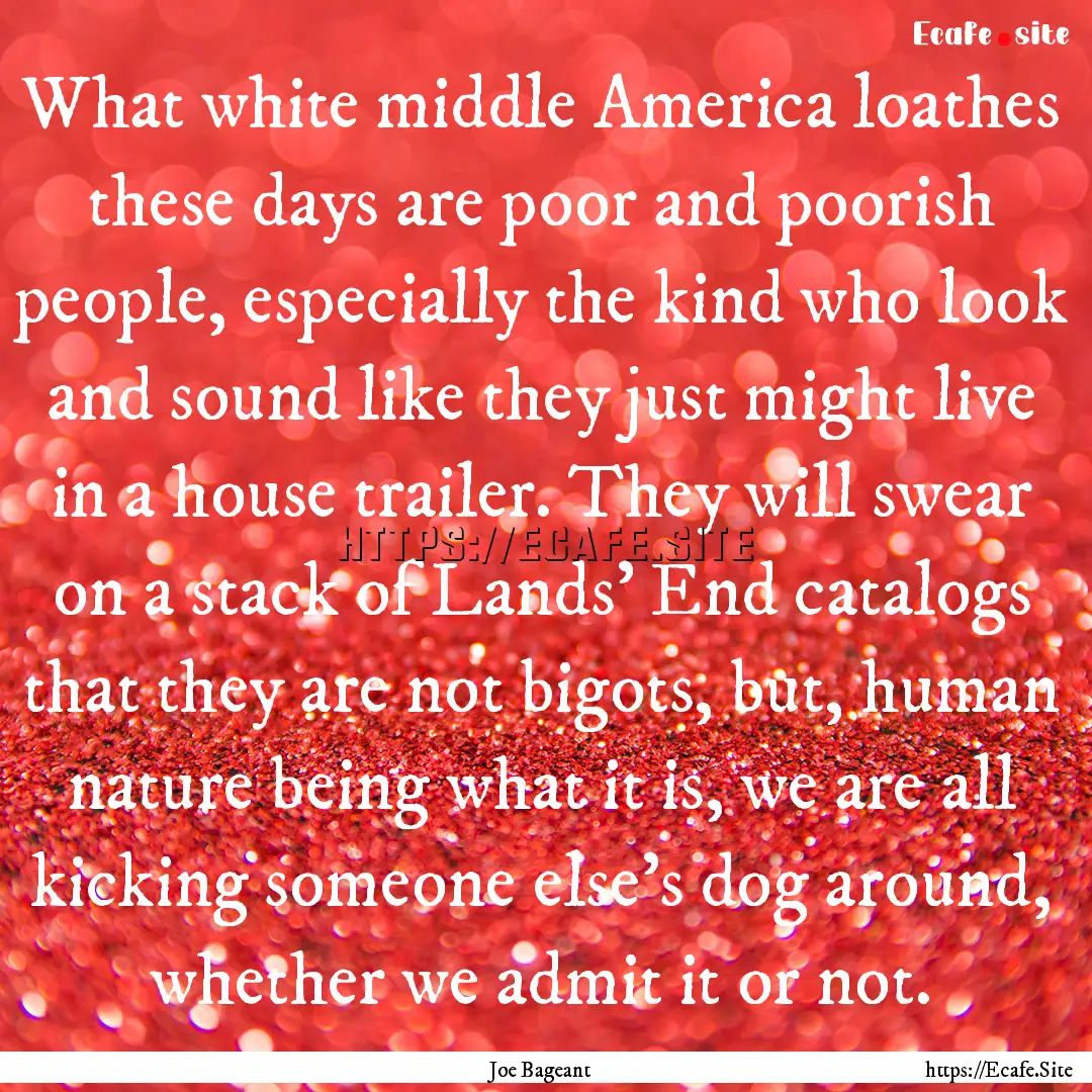 What white middle America loathes these days.... : Quote by Joe Bageant