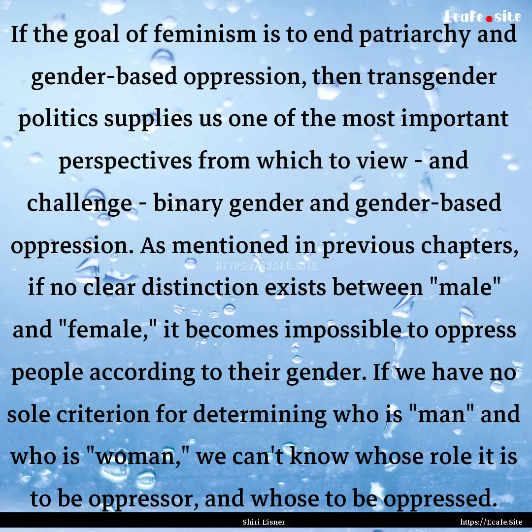 If the goal of feminism is to end patriarchy.... : Quote by Shiri Eisner