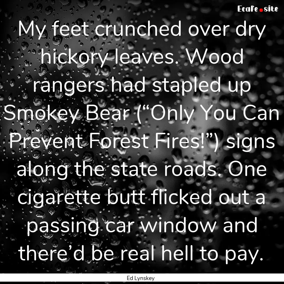 My feet crunched over dry hickory leaves..... : Quote by Ed Lynskey