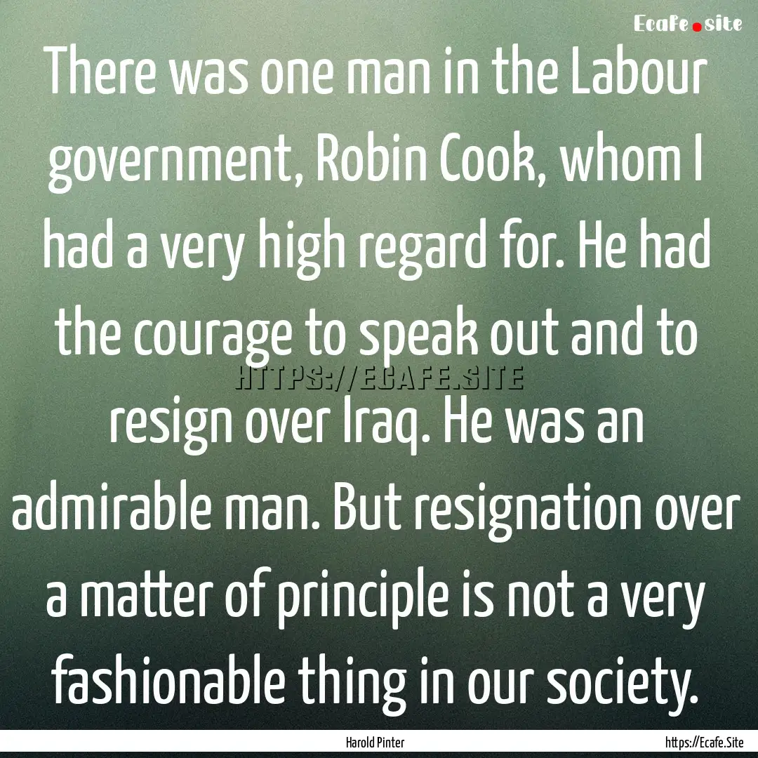 There was one man in the Labour government,.... : Quote by Harold Pinter