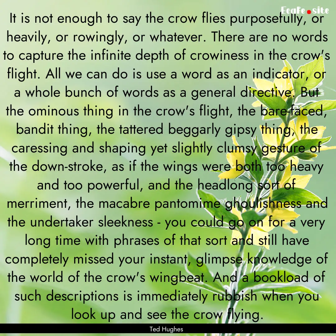 It is not enough to say the crow flies purposefully,.... : Quote by Ted Hughes