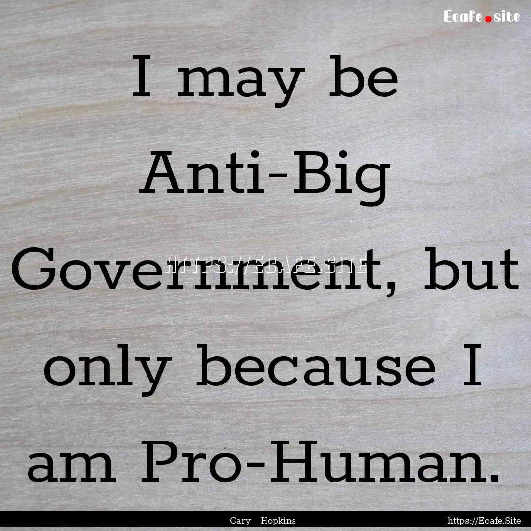 I may be Anti-Big Government, but only because.... : Quote by Gary Hopkins