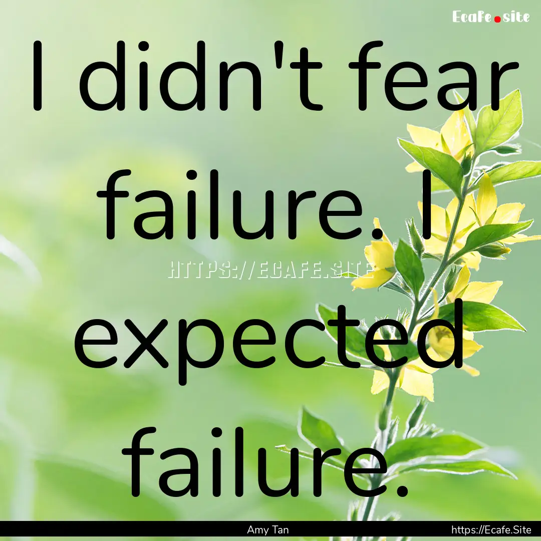 I didn't fear failure. I expected failure..... : Quote by Amy Tan