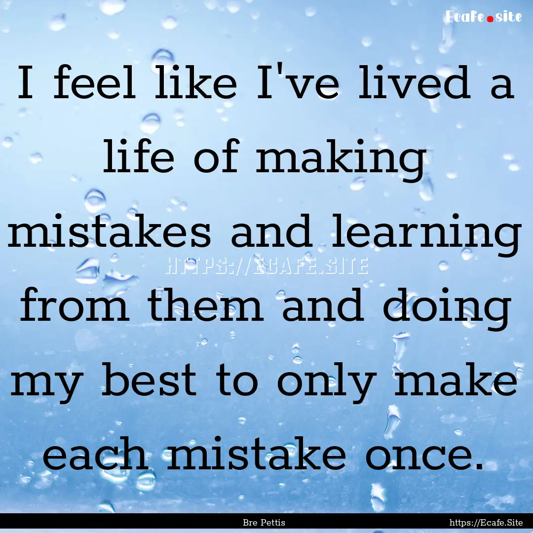 I feel like I've lived a life of making mistakes.... : Quote by Bre Pettis