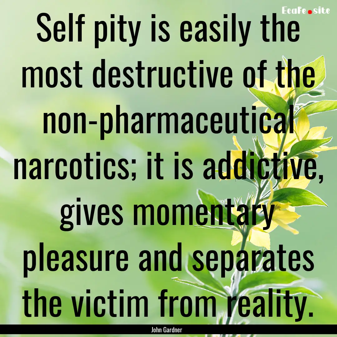 Self pity is easily the most destructive.... : Quote by John Gardner