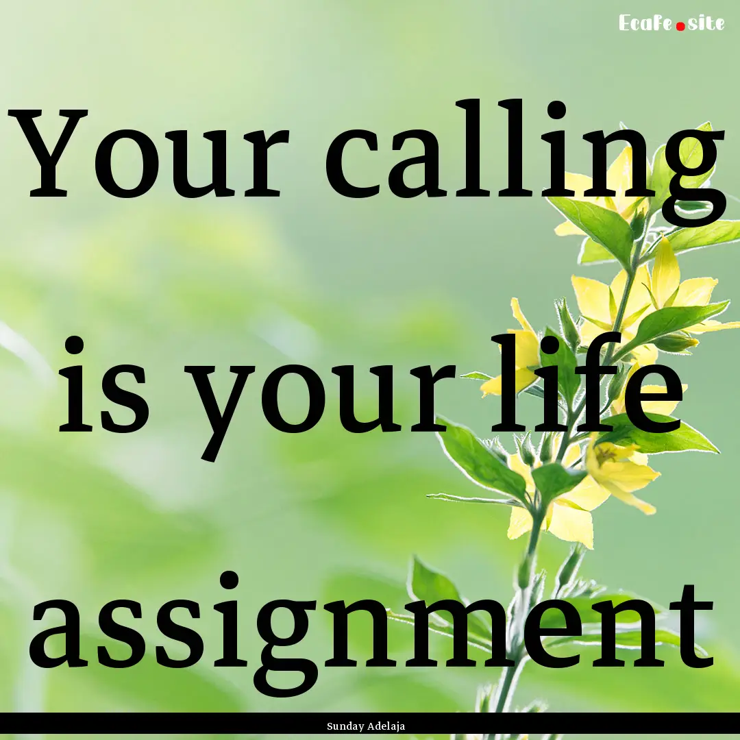 Your calling is your life assignment : Quote by Sunday Adelaja