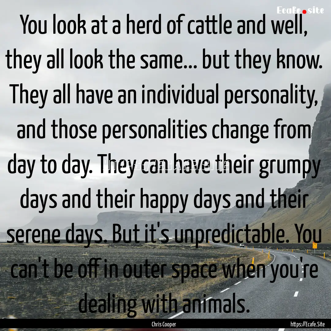 You look at a herd of cattle and well, they.... : Quote by Chris Cooper