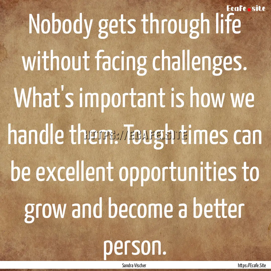 Nobody gets through life without facing challenges..... : Quote by Sandra Vischer