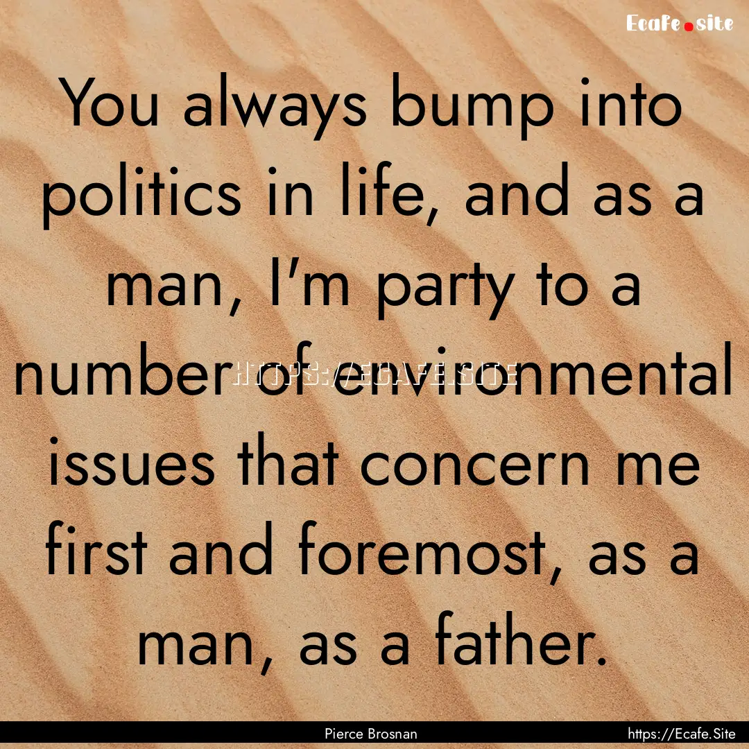 You always bump into politics in life, and.... : Quote by Pierce Brosnan