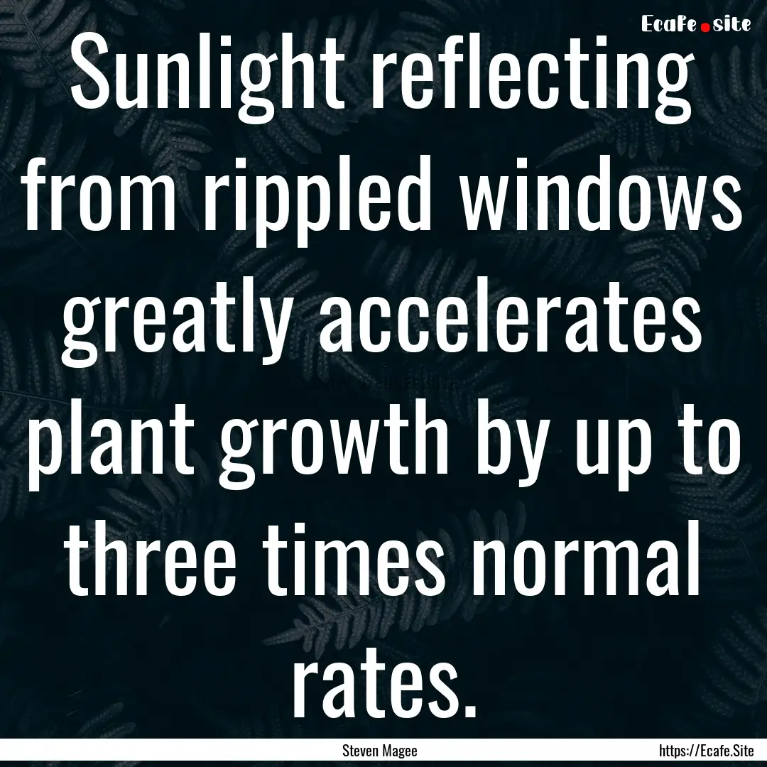 Sunlight reflecting from rippled windows.... : Quote by Steven Magee