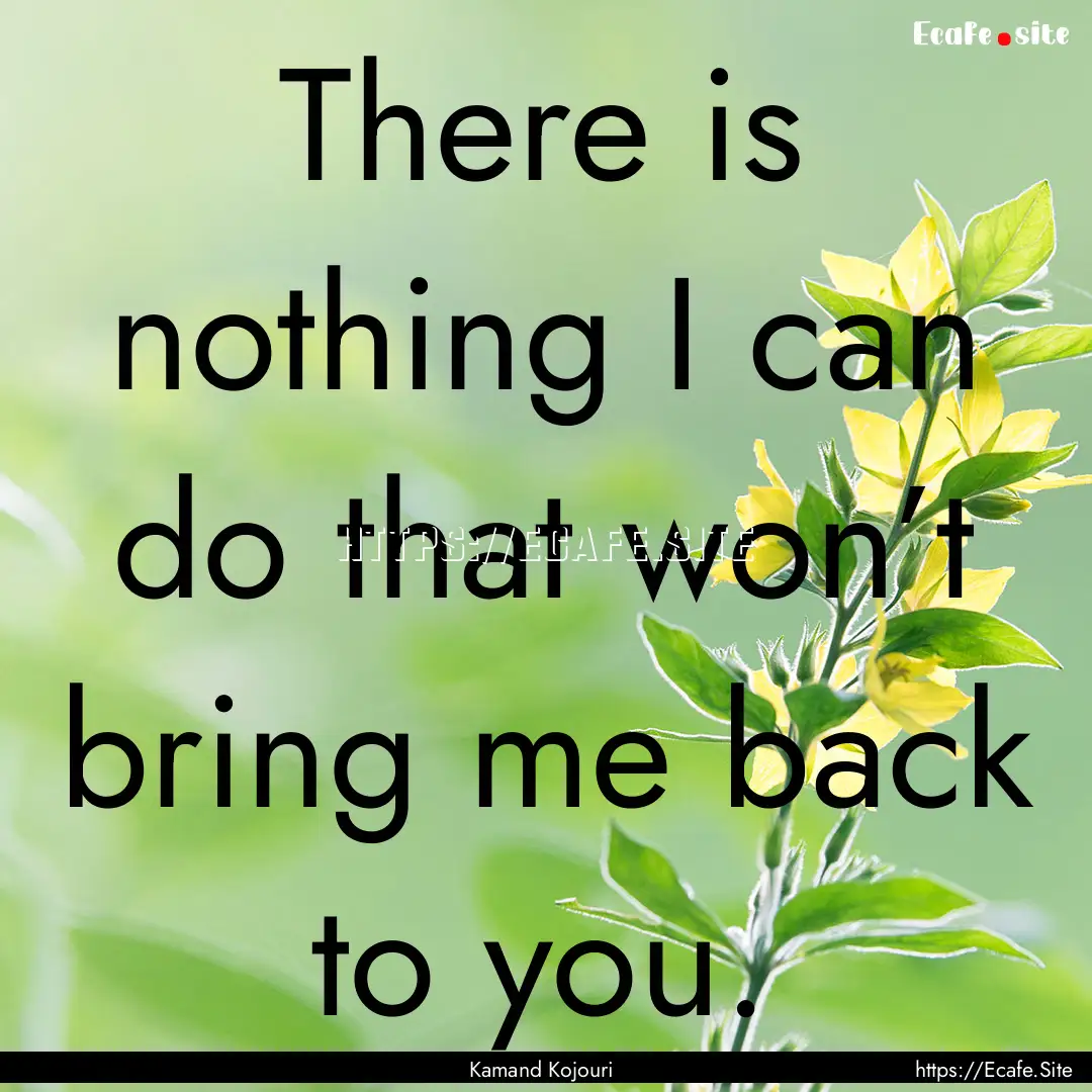 There is nothing I can do that won’t bring.... : Quote by Kamand Kojouri