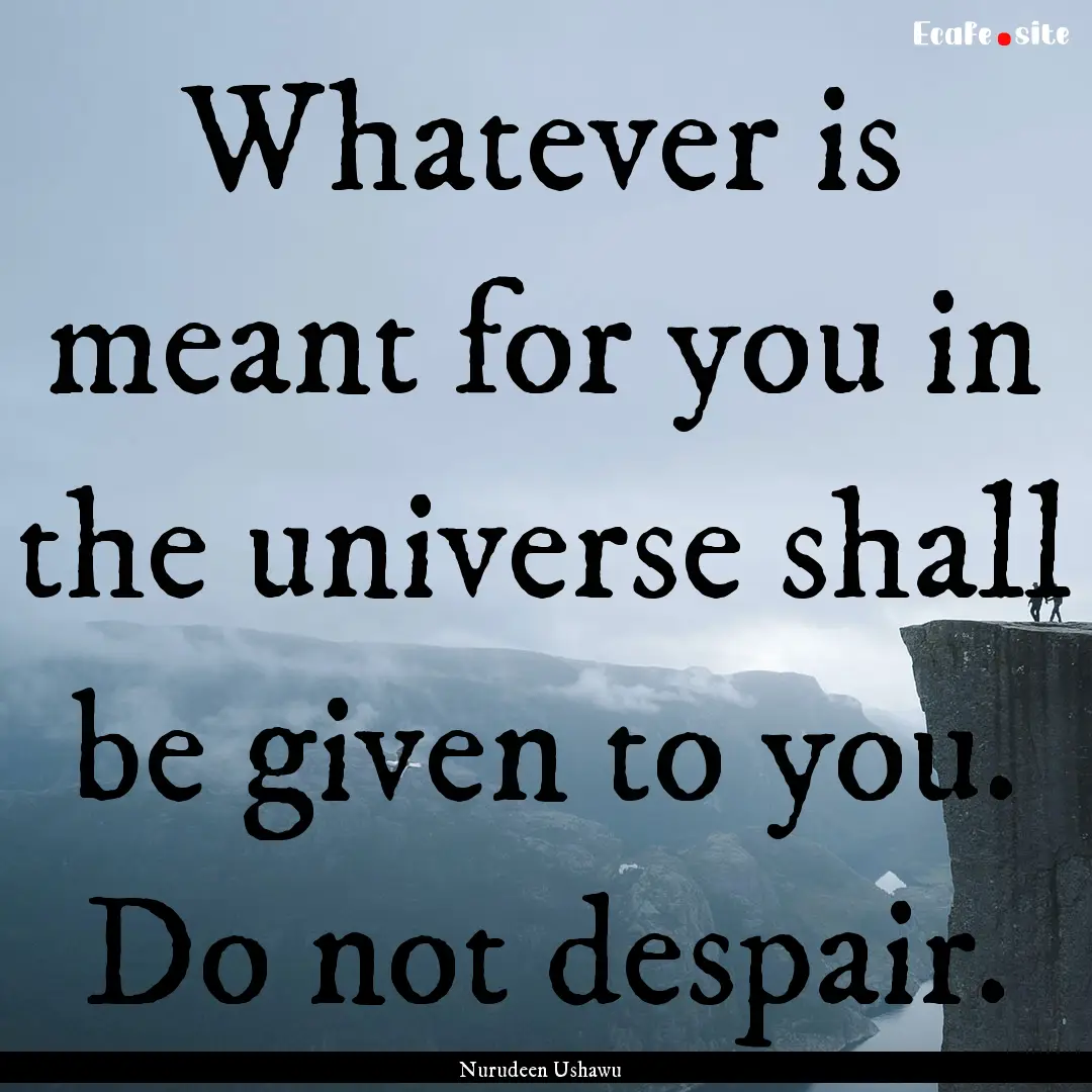 Whatever is meant for you in the universe.... : Quote by Nurudeen Ushawu