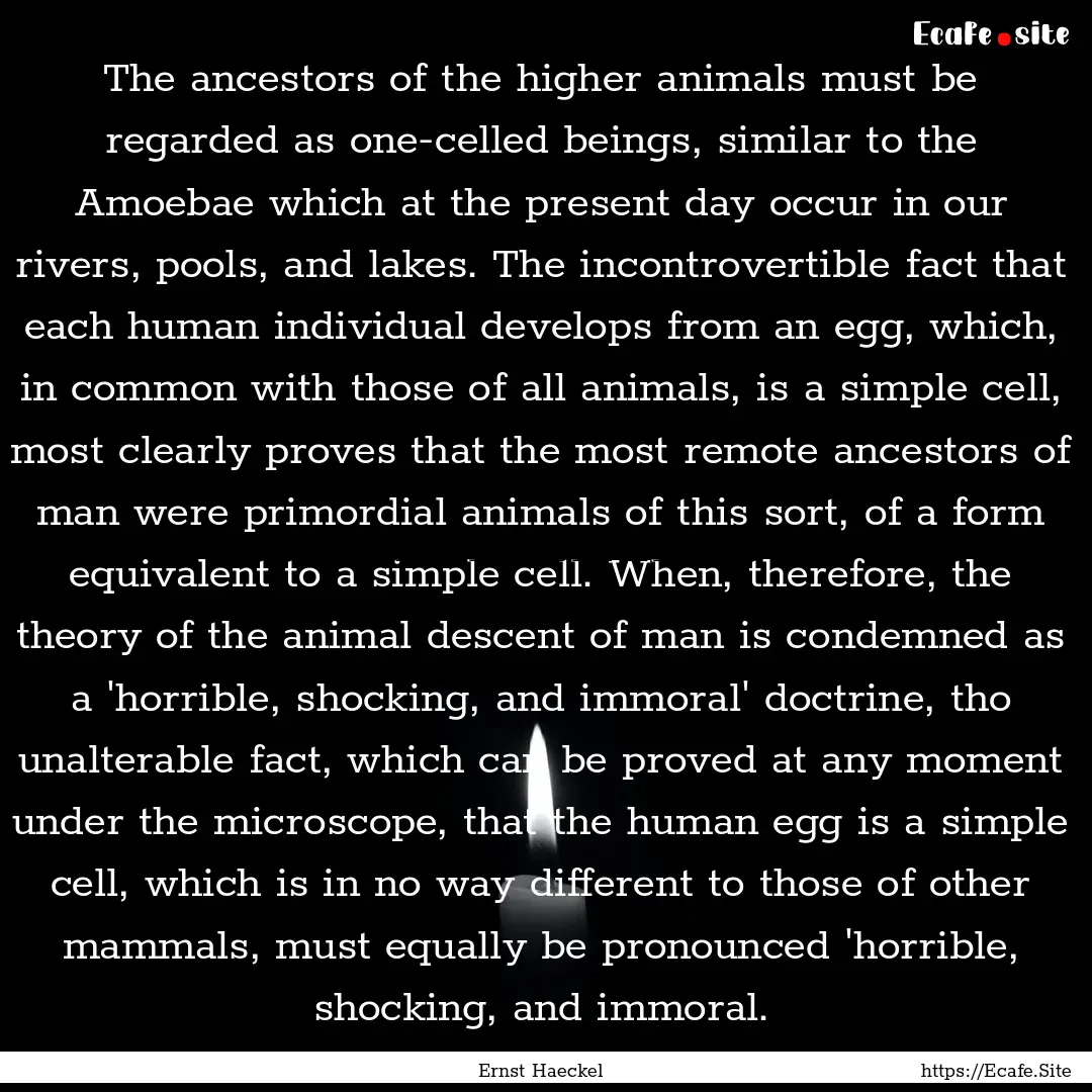 The ancestors of the higher animals must.... : Quote by Ernst Haeckel