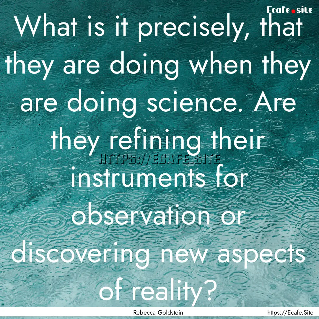 What is it precisely, that they are doing.... : Quote by Rebecca Goldstein