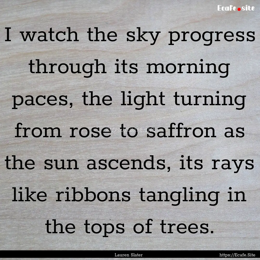 I watch the sky progress through its morning.... : Quote by Lauren Slater