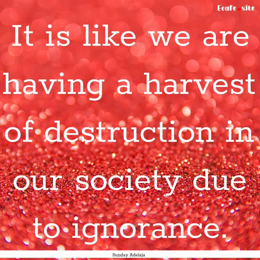 It is like we are having a harvest of destruction.... : Quote by Sunday Adelaja