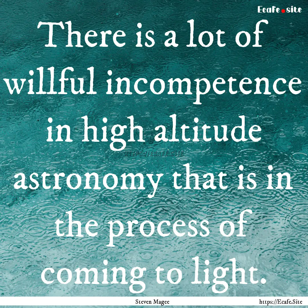 There is a lot of willful incompetence in.... : Quote by Steven Magee