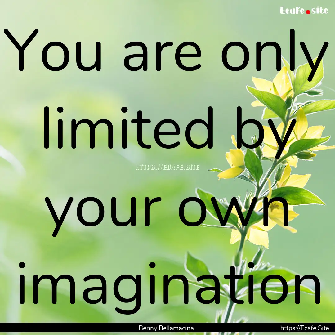 You are only limited by your own imagination.... : Quote by Benny Bellamacina