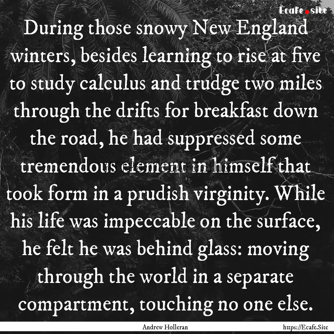 During those snowy New England winters, besides.... : Quote by Andrew Holleran