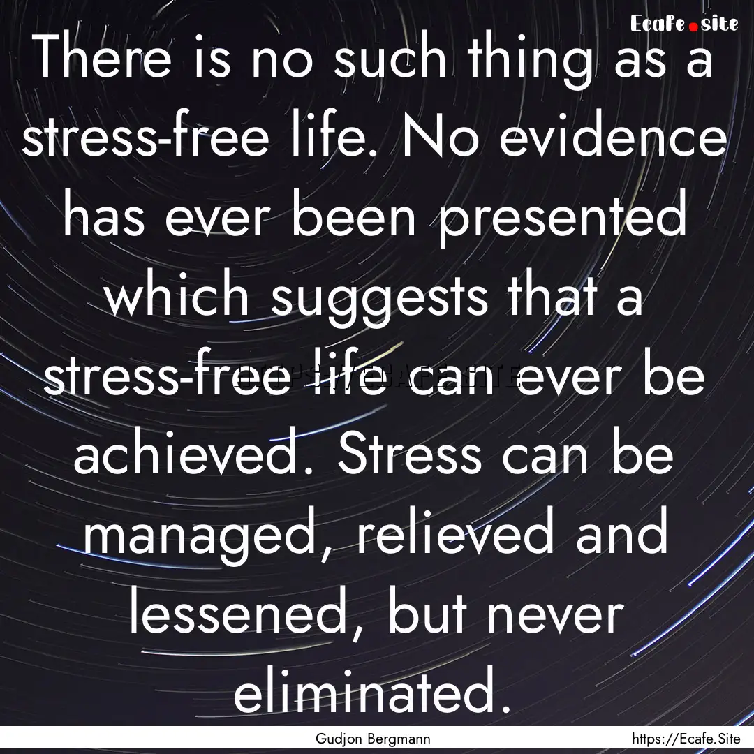 There is no such thing as a stress-free life..... : Quote by Gudjon Bergmann