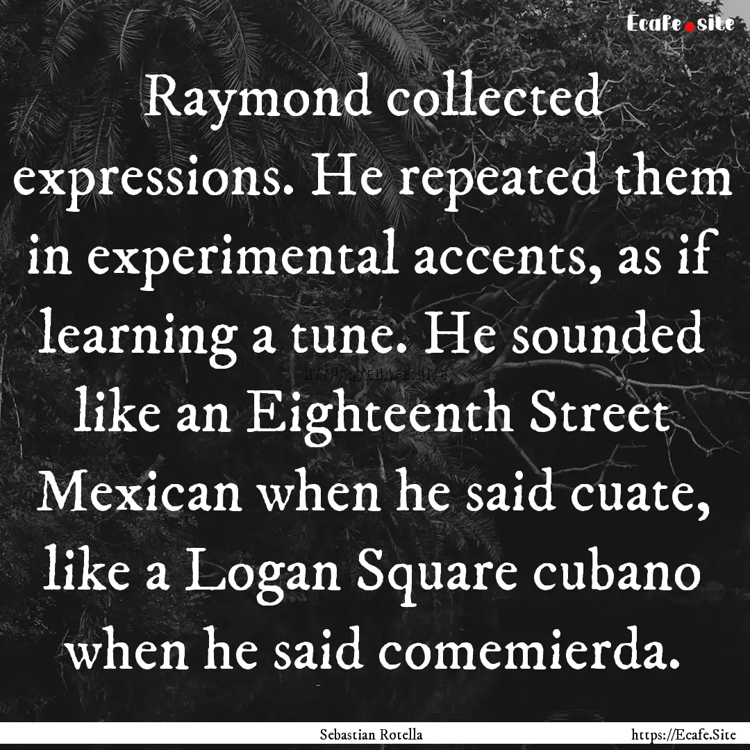 Raymond collected expressions. He repeated.... : Quote by Sebastian Rotella