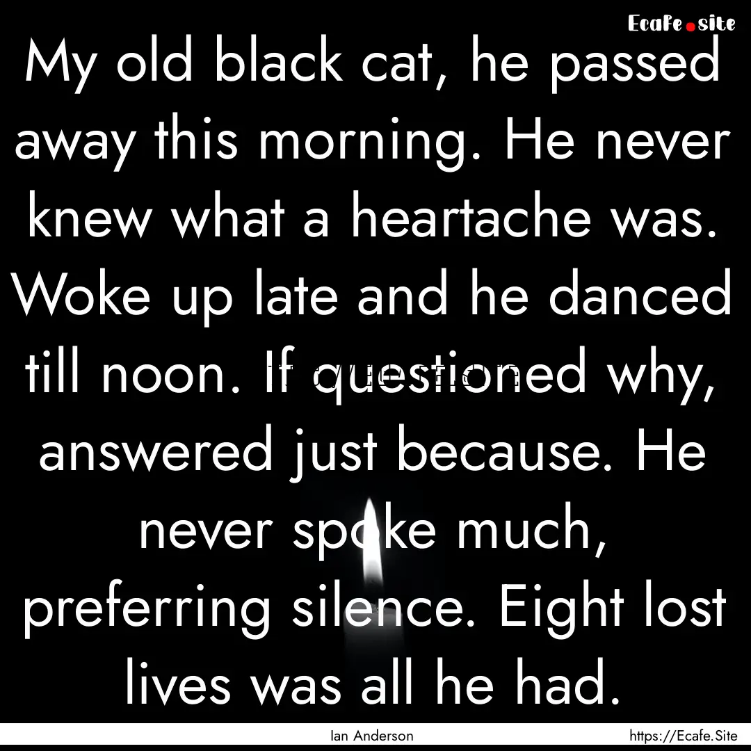 My old black cat, he passed away this morning..... : Quote by Ian Anderson